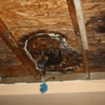 IMG_1138 IMG_1138