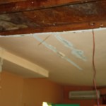 IMG_1139 IMG_1139