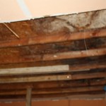 IMG_1140 IMG_1140