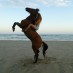 Celebrating International Women’s Day in Rocky Point: Cowgirl style!