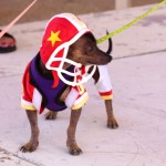 bestcostume