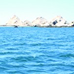 DSC_0073-300x200