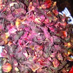 IMG-20120725-00418