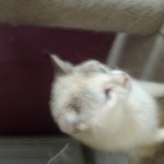 FILE0054